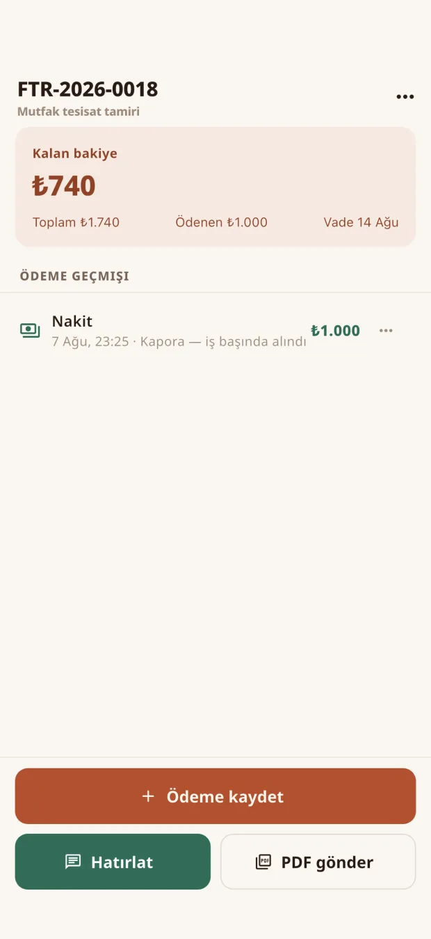 Usta Bey — invoice with partial payment recorded